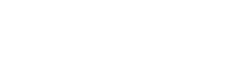 Petoro logo