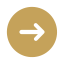 Arrow icon